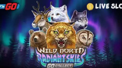 와일드 노스 레이디언트 스카이즈 고 컬렉트